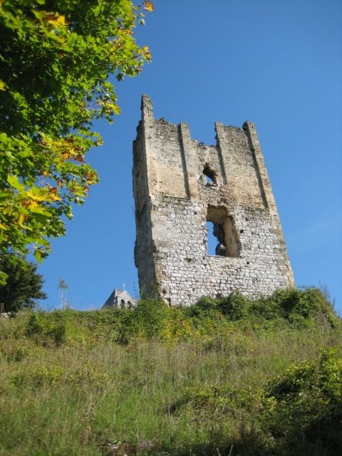 Sokolac Castle