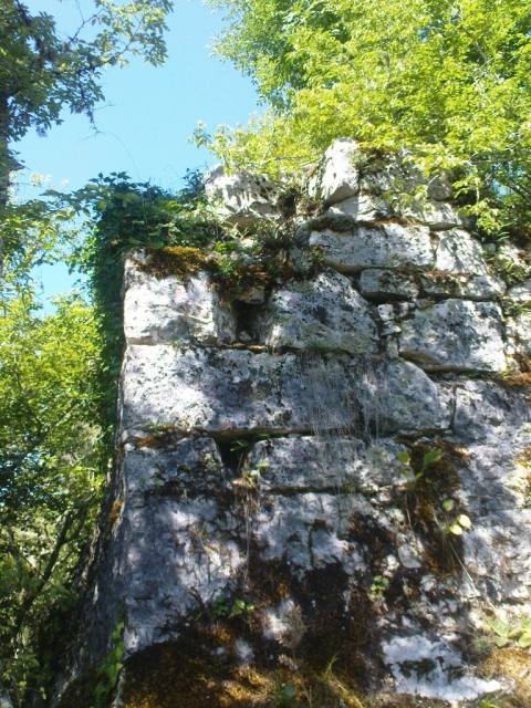 Zelengrad Castle