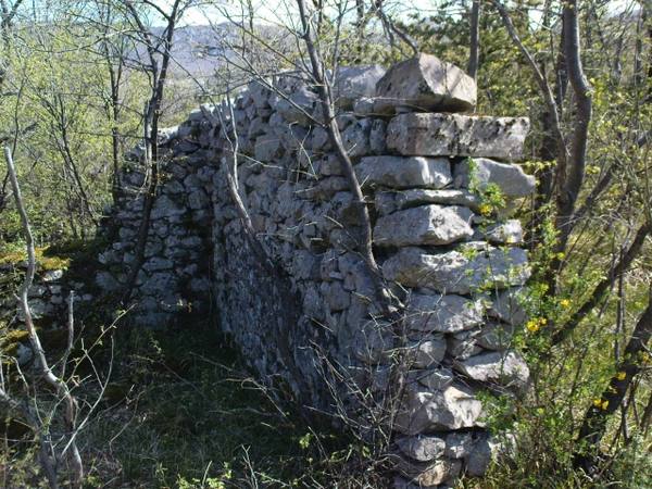 Vranja Castle