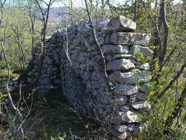 Vranja Castle