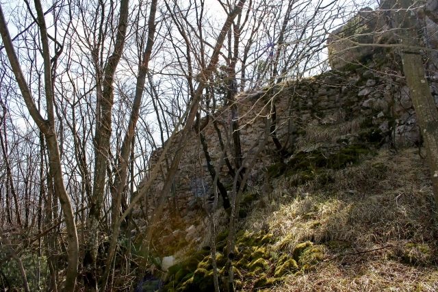 Lupoglav Castle