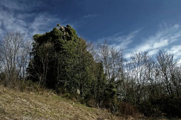 Walderstein Castle