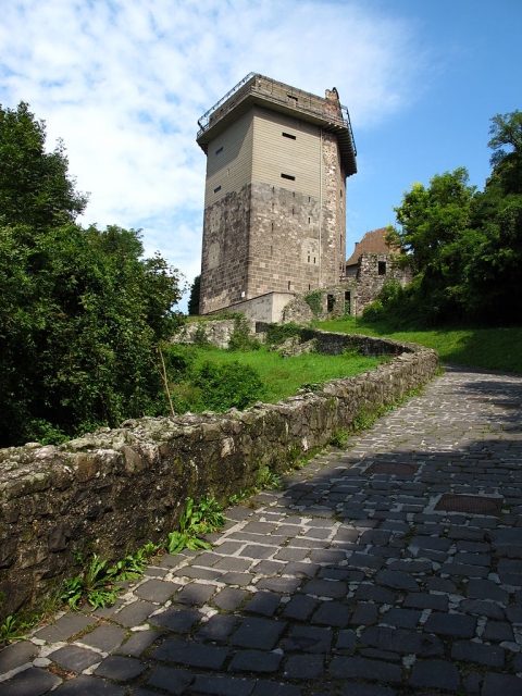 Lower Castle Visegrád