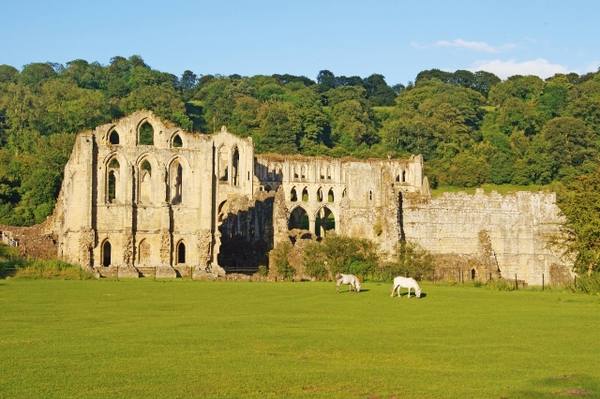 Rievaulx Abbey