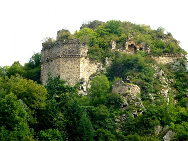Burgruine Steinkallenfels