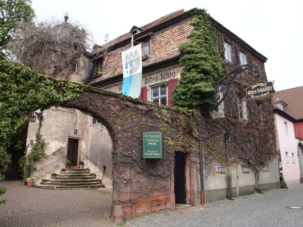 Altes Schlössel Forst