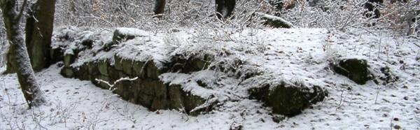Schlossrest Schaudichnichtum
