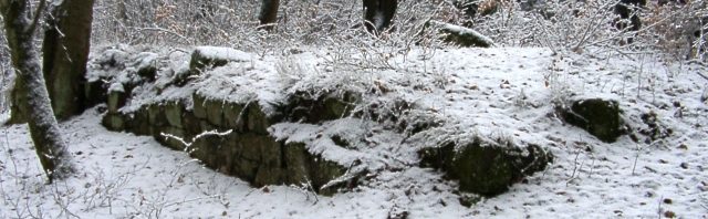 Schlossrest Schaudichnichtum