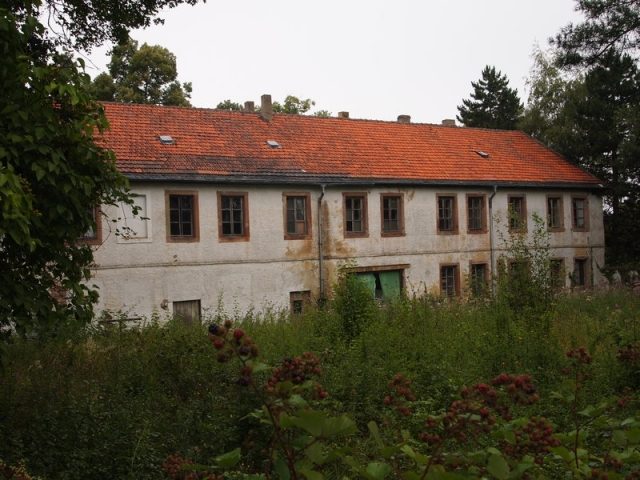 Rheingrafenstein Castle