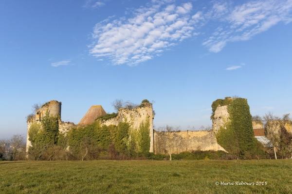 Château de Rosemont