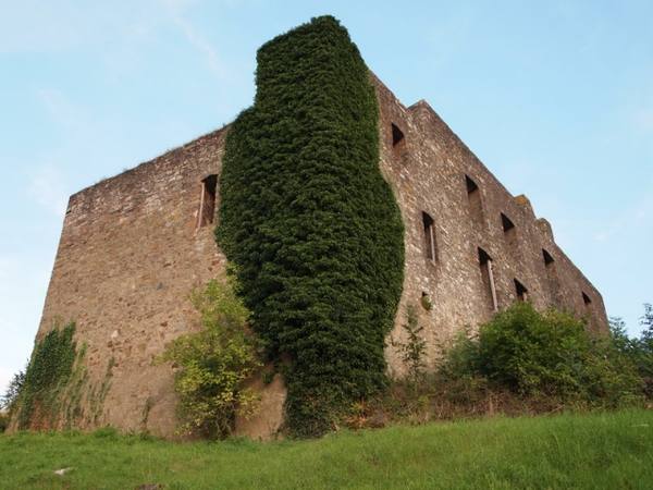 Ulmen Castle