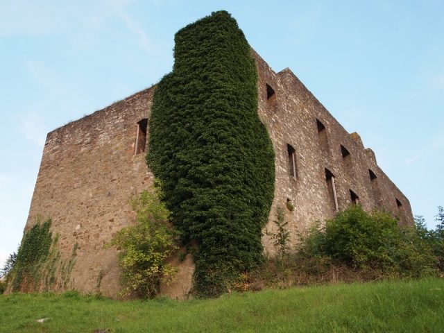 Burgruine Ulmen