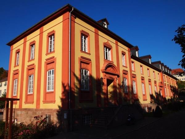 Kirchheimbolanden Castle