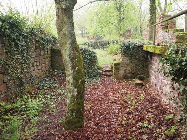 Burgruine Stauf
