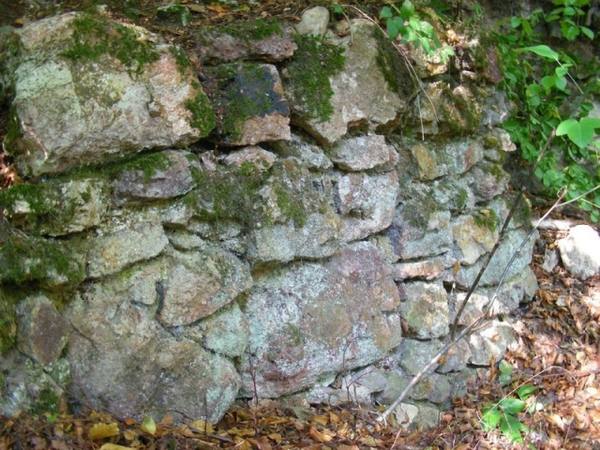 Burgruine Tannenfels