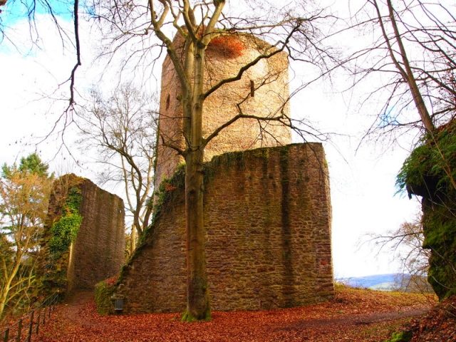Alt-Wolfstein Castle