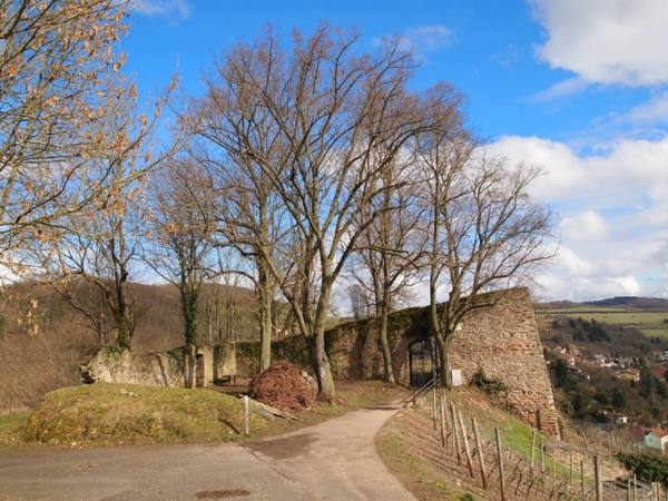 Neu-Wolfstein Castle