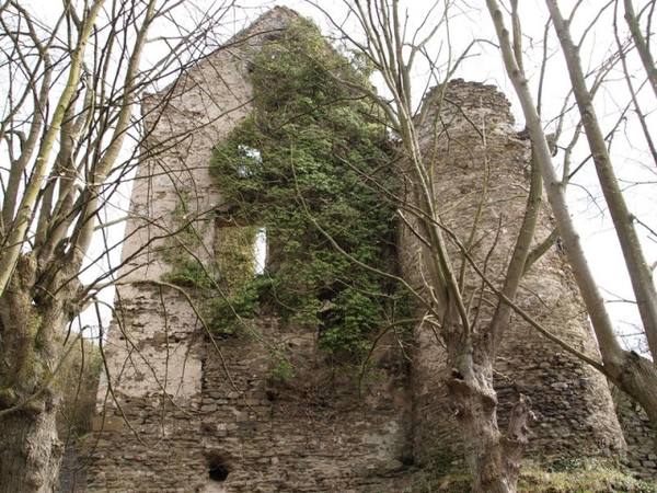 Mittelburg Castle