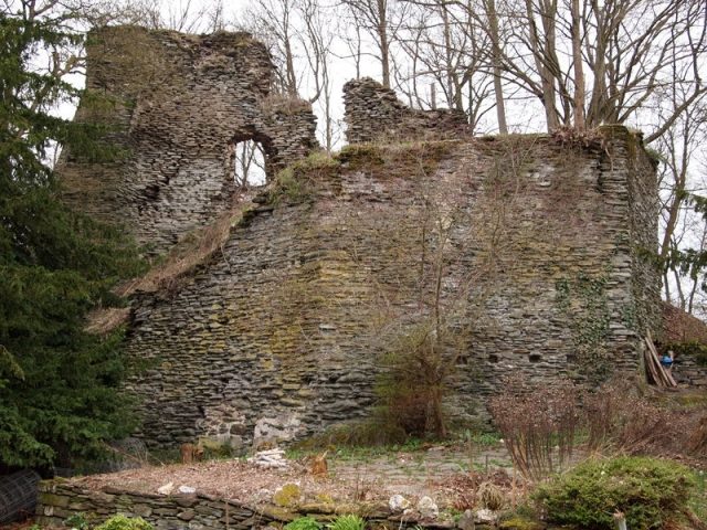 Braunsberg Castle