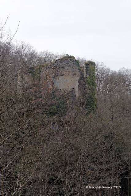 Château de la Roche