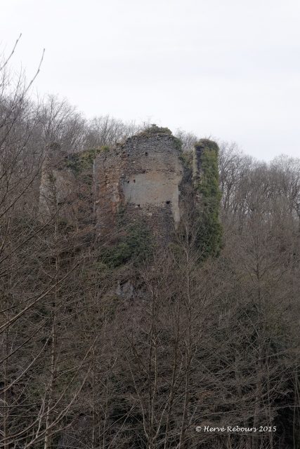 Château de la Roche