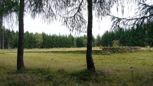Roman Castle Hillscheid
