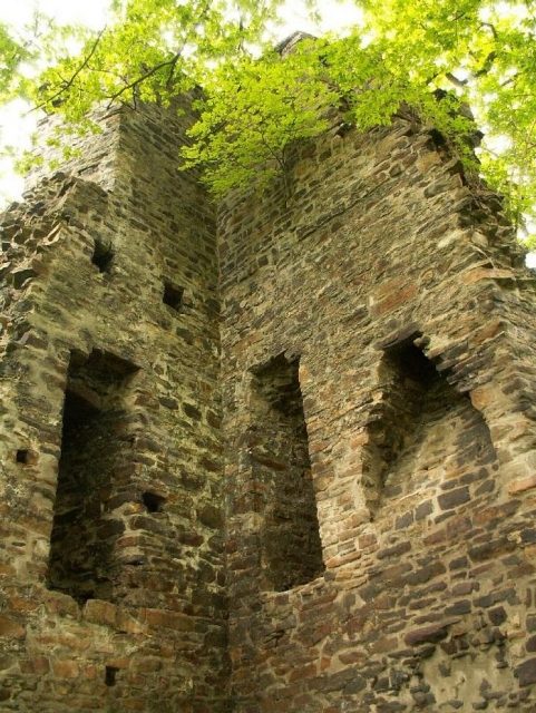 Luttelnau Castle