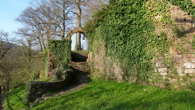 Burgruine Reichenstein