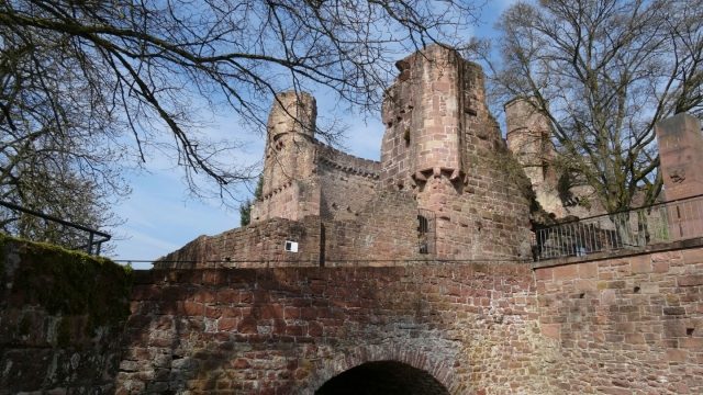 Dilsberg Castle