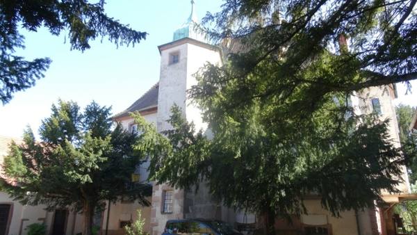 Château des Ifs