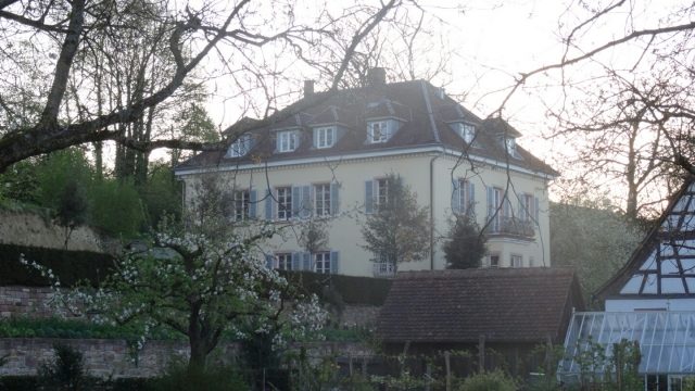 Bleichheim Castle