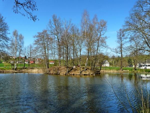 Burgrest Ringethal