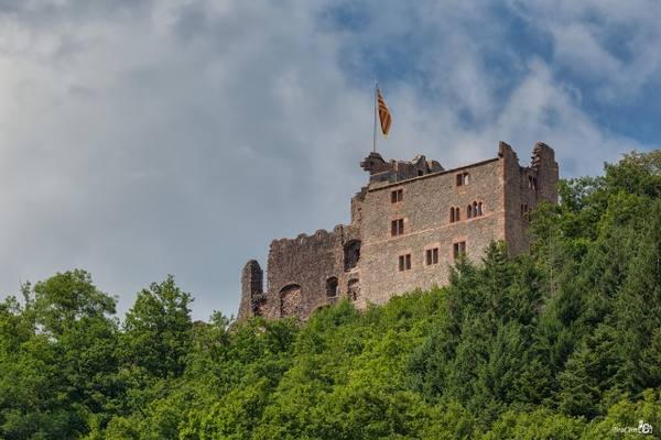 Burgruine Hohengeroldseck