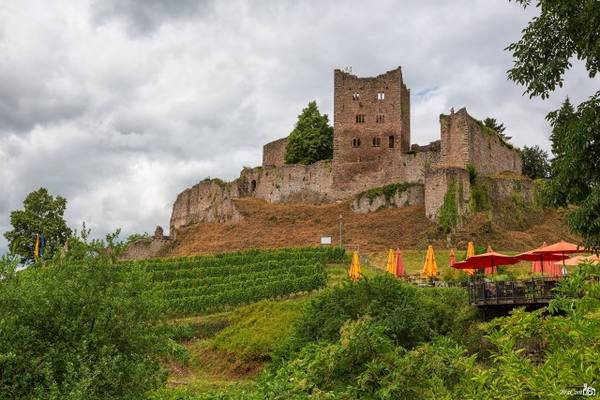 Burgruine Schauenburg