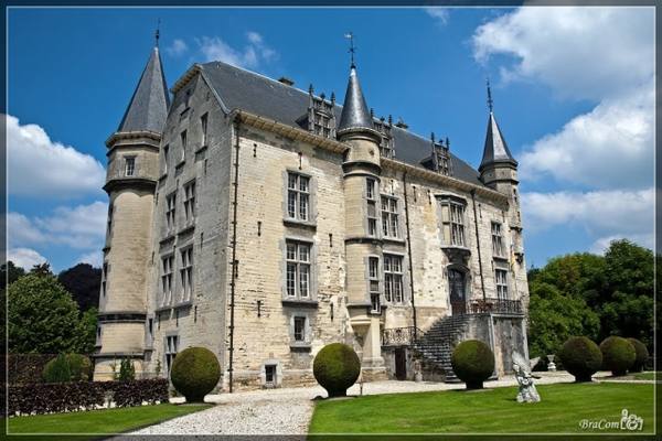 Kasteel Schaloen