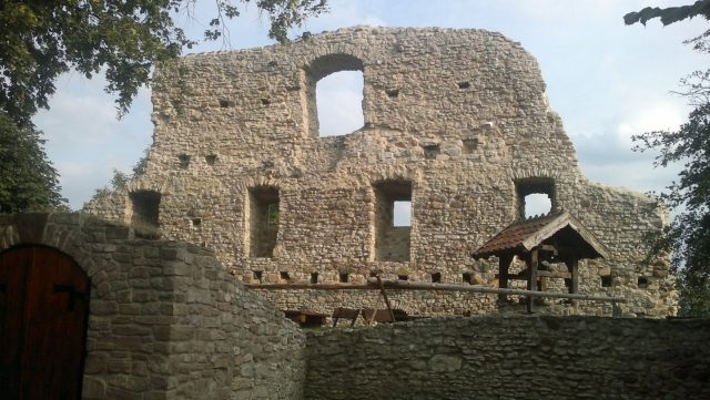 Stapelburg Castle (Ruin)