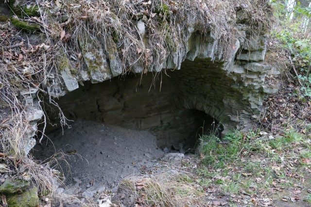 Burgrunie Hohenkottenheim