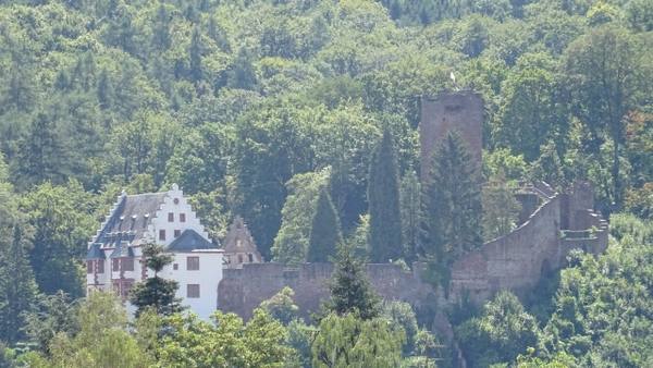 Mildenburg Castle