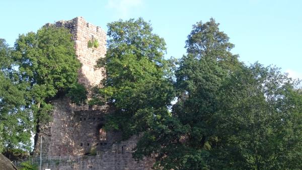 Burgruine Waldau