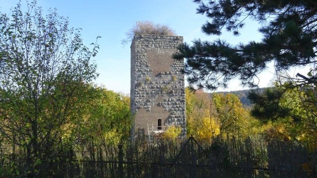 Burgruine Niederviehhausen