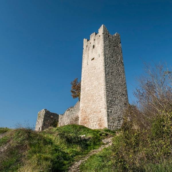 Dvigrad Castle