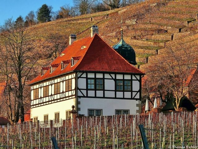 Hoflößnitz Castle