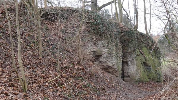 Calenberg Castle