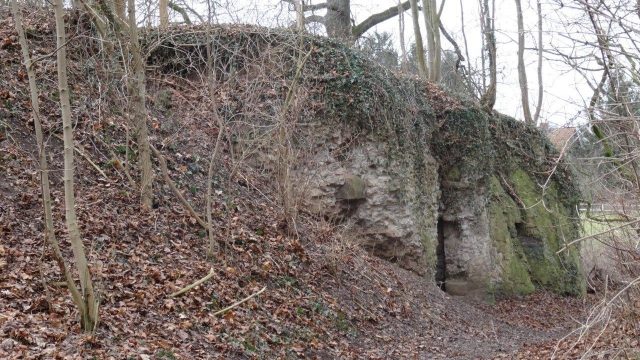 Calenberg Castle