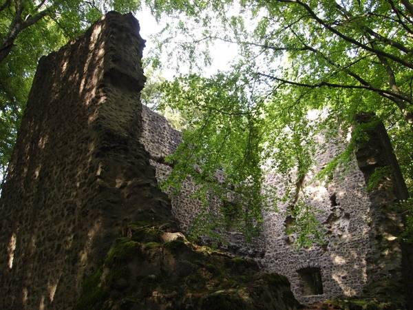 Freudenkoppe Castle