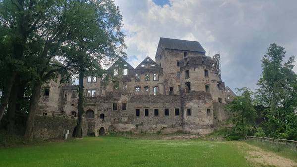 Burg Świny