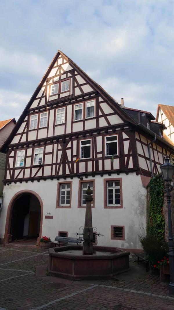 Résidence seigneuriale Schönauer Hof