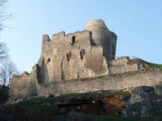 Michalovice Castle