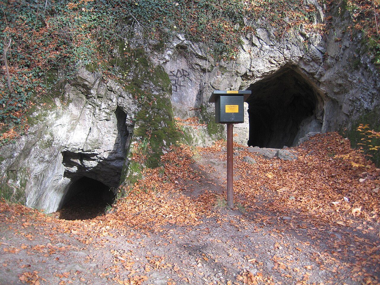 Volkmarskeller