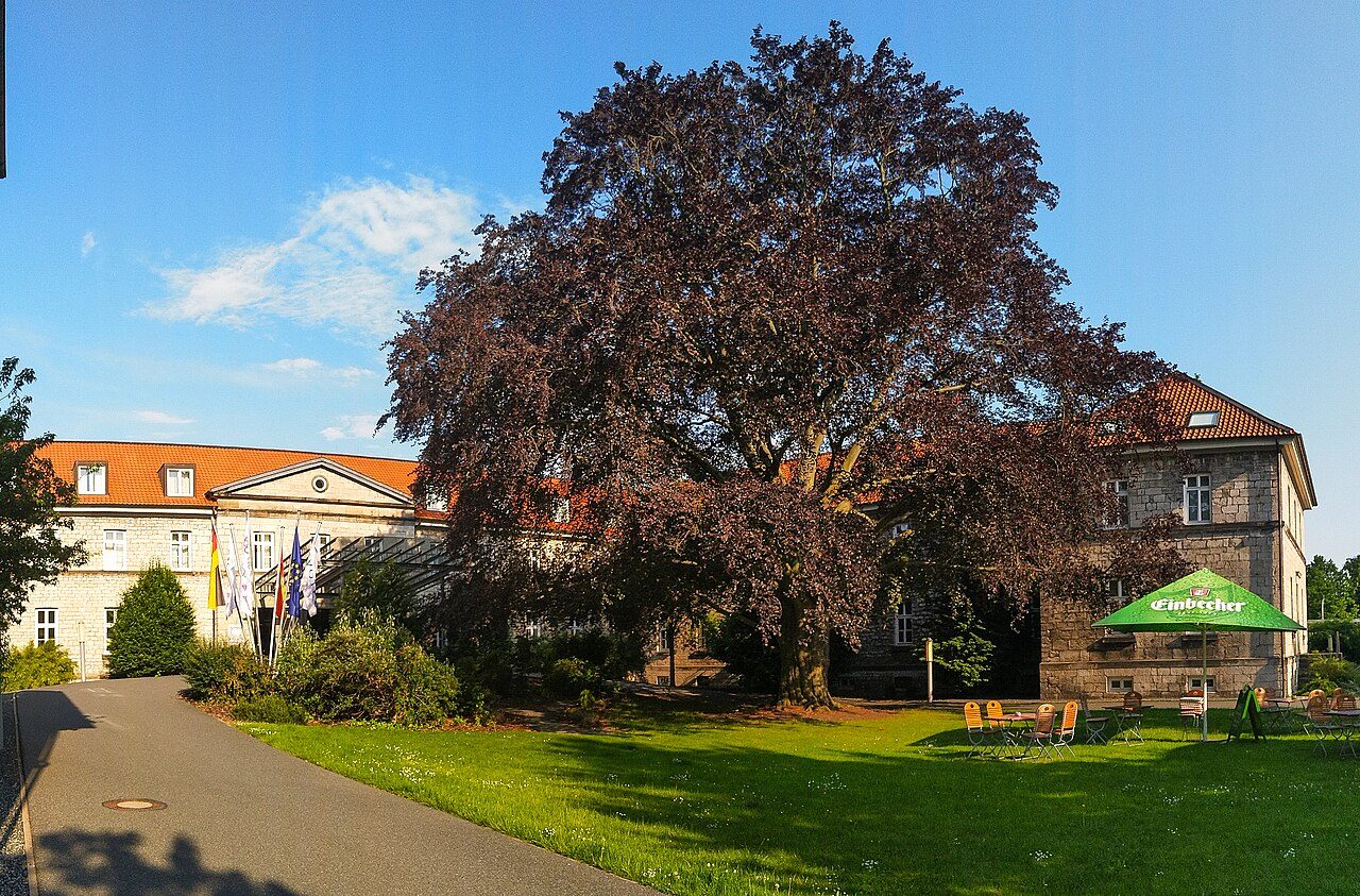 Sülte